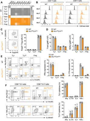 Genetic Ablation of the Mitochondrial Calcium Uniporter (MCU) Does not Impair T Cell-Mediated Immunity In Vivo